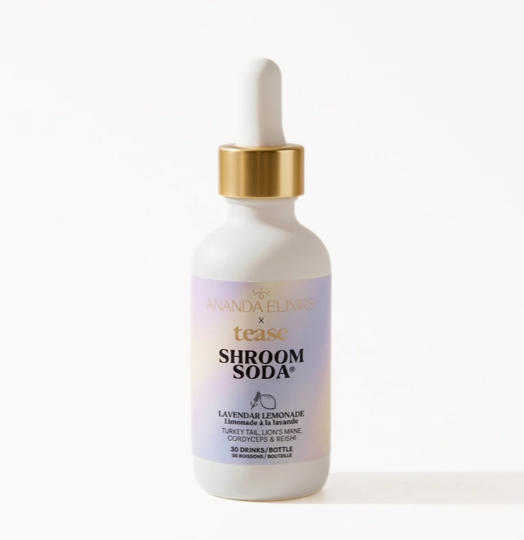 Shroom Soda | Wellness Lavender Lemonade | Healthy Soda