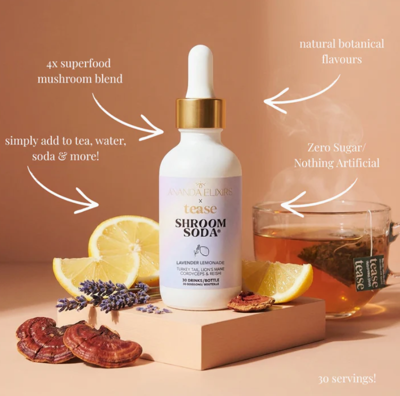 Shroom Soda | Wellness Lavender Lemonade | Healthy Soda